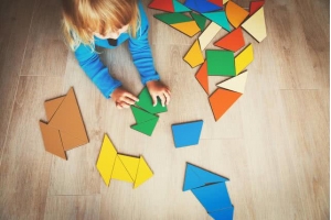 賣家的機會：美國玩具市場規模增長20%