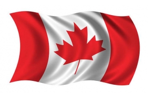 加拿大網購有望迎來新增長，直飛專線高效發貨