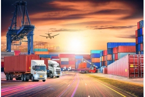 干花的國際運輸費用是如何計算的?