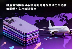 批量發(fā)貨數(shù)據(jù)線手機(jī)殼到海外倉應(yīng)該怎么選物流渠道？實(shí)用經(jīng)驗(yàn)分享