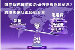 國際快遞被拒收后如何查看物流信息？跨境賣家吐血經驗分享