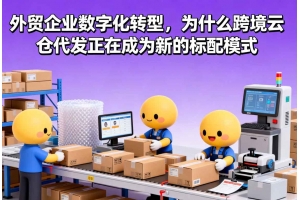外貿(mào)企業(yè)數(shù)字化轉(zhuǎn)型，為什么跨境云倉代發(fā)正在成為新的標(biāo)配模式