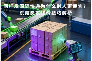 同樣發國際快遞為什么別人更便宜？東莞賣家降價技巧解析