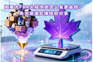 加拿大FBA頭程泡貨怎么發(fā)更省錢？免泡渠道實操經(jīng)驗分享