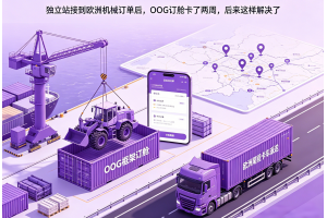 獨立站接到歐洲機械訂單后，OOG訂艙卡了兩周，后來這樣解決了